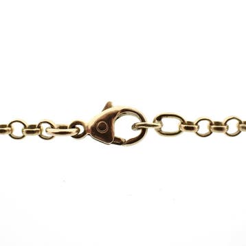 Gouden jasseron schakel ketting., Ophalen of Verzenden, Gebruikt, Goud, Goud