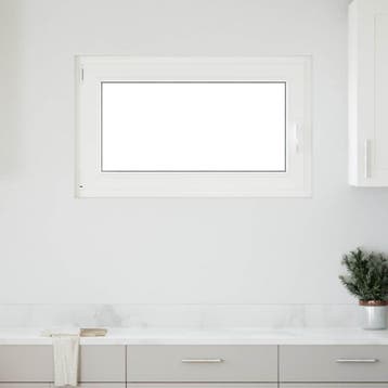 vidaXL Kantel- en draaivenster voor de kelder RISOR 100 x 60, Verzenden, Nieuw