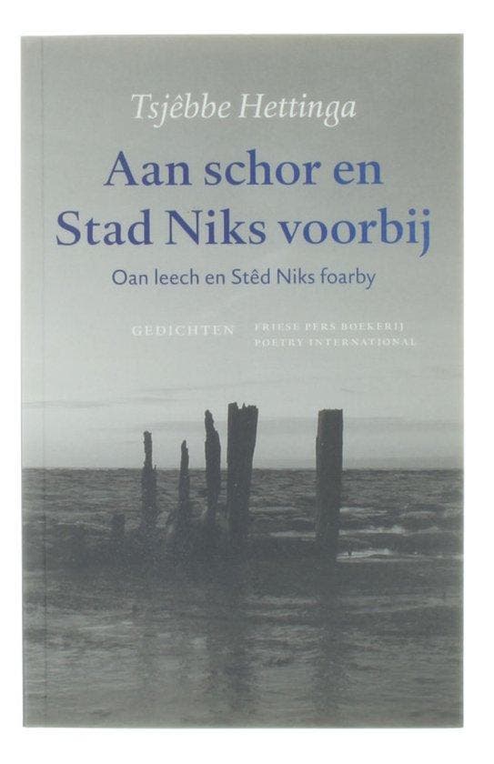 Aan schor en stad niks voorbij, Boeken, Literatuur, Ophalen of Verzenden