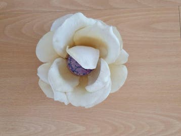 Off white Pokerchip Rose., Verzenden, Nieuw