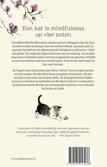 De magnoliakatten 9789045053486 Noriko Morishita, Verzenden, Zo goed als nieuw, Noriko Morishita