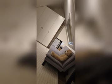 Te huur: Huis Bachstraat in Purmerend, Purmerend, Noord-Holland