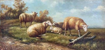Thomas Sidney Cooper (1803–1902), C, Kring van - Sheep