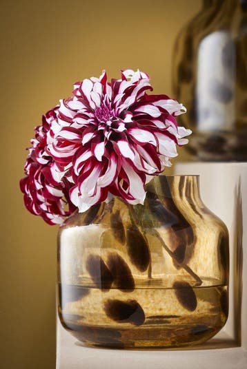 2dekans | Mica Decorations Pantera Vaas - Glas - Bruin met, Ophalen of Verzenden, Zo goed als nieuw