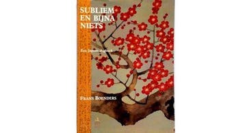 Subliem en bijna niets - Frans Boenders 9789050960618, Verzenden, Gelezen, Frans Boenders