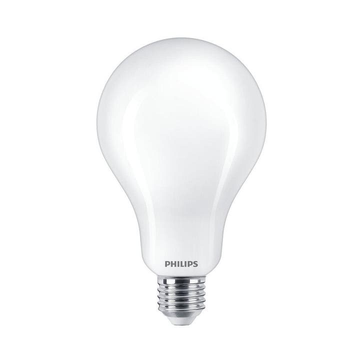 Philips CorePro Led A95 23W Hoge Lumen E27 Daglicht Lamp -, Tuin en Terras, Buitenverlichting, Overige typen, Nieuw, Verzenden