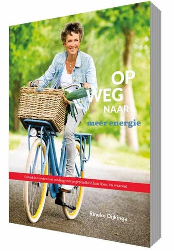 9789081821568 Op weg naar meer energie | Tweedehands, Verzenden, Zo goed als nieuw, Rineke Dijkinga