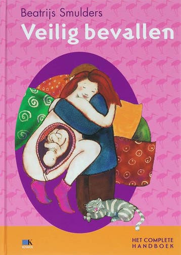 Veilig bevallen / Veilig-serie - Beatrijs Smulders, Verzenden, Gelezen, Beatrijs Smulders