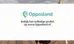 Ik ben Djoeke, 17 jaar oud en ik zoek oppaswerk in Holten., Diensten en Vakmensen, Dieren | Honden | Verzorging, Oppas en Les