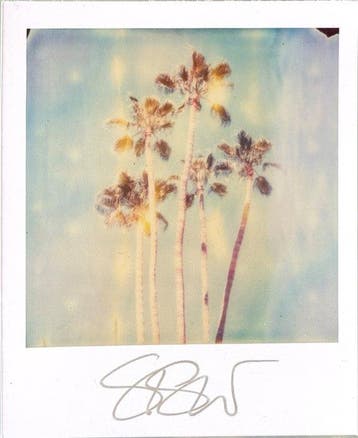 Stefanie Schneider - Stefanie Schneiders Minis Palm