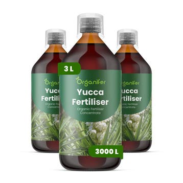 Vloeibare meststof voor Yucca - Set 3x1 liter, Verzenden, Mest