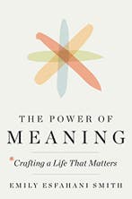 The Power of Meaning 9780553419993 Emily Esfahani Smith, Boeken, Verzenden, Zo goed als nieuw, Emily Esfahani Smith