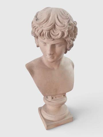 Buste, Homme grecque - Antonious - 32 cm - Terracotta, Antiek en Kunst