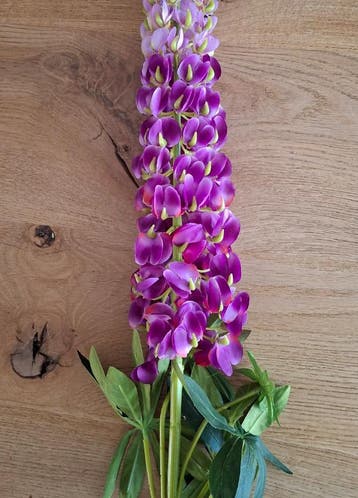Bloem paars 107 cm, Verzenden, Nieuw