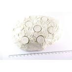 Achilles Frag Hub M, Dieren en Toebehoren, Ophalen of Verzenden, Nieuw