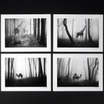 Frank Machalowski - Portfolio of 4 pictures from the series