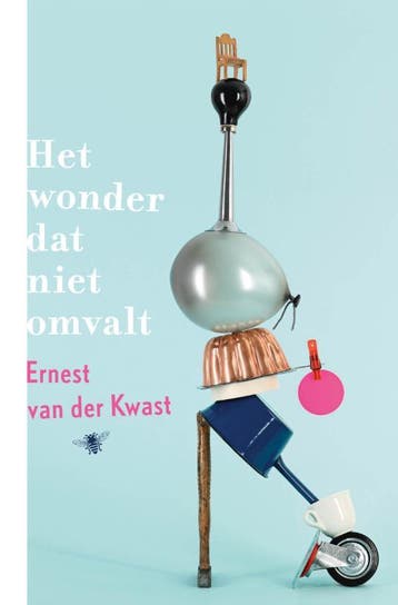 Het wonder dat niet omvalt - Ernest van der Kwast, Verzenden, Gelezen, Ernest van der Kwast