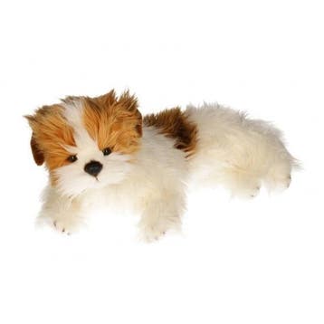 Carl Dick Yorkshire terrier knuffel - pluche - 42 cm, Verzenden, Nieuw