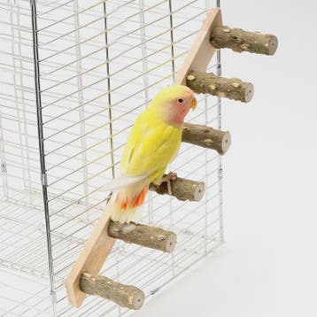 Houten Klimladder voor Vogels en Hamsters - Interactief Kooi
