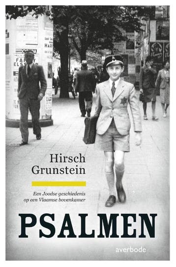 Psalmen - Hirsch Grunstein 9789031734917, Verzenden, Zo goed als nieuw, Hirsch Grunstein