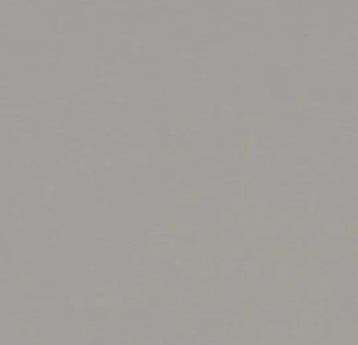 Forbo Marmoleum Walton 171 cement, Verzenden, Nieuw