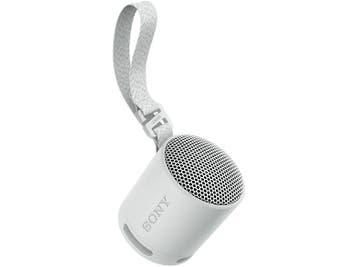 Sony -  Srs-xb100  - Grijs, Verzenden, Overige typen, Nieuw, 60 tot 120 watt