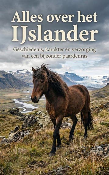 9789465501420 Alles over het IJslander Andries B.V., Verzenden, Nieuw, Andries B.V.