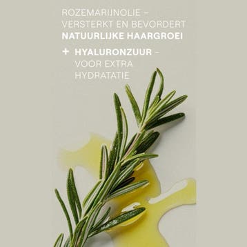 Weleda Rozemarijn Revitaliserende Conditioner - 150ml, Ophalen of Verzenden, Nieuw, Shampoo of Conditioner