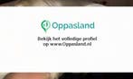 Amber zoekt een oppas in Winschoten voor 1 kind., Vacatures