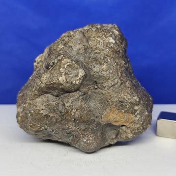 XL MUSEUM nieuw JIKHARRA 001 (Libië, 2022). Eucriet
