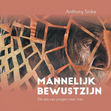 9789464053913 Mannelijk Bewustzijn Anthony Sinke, Boeken, Verzenden, Nieuw, Anthony Sinke