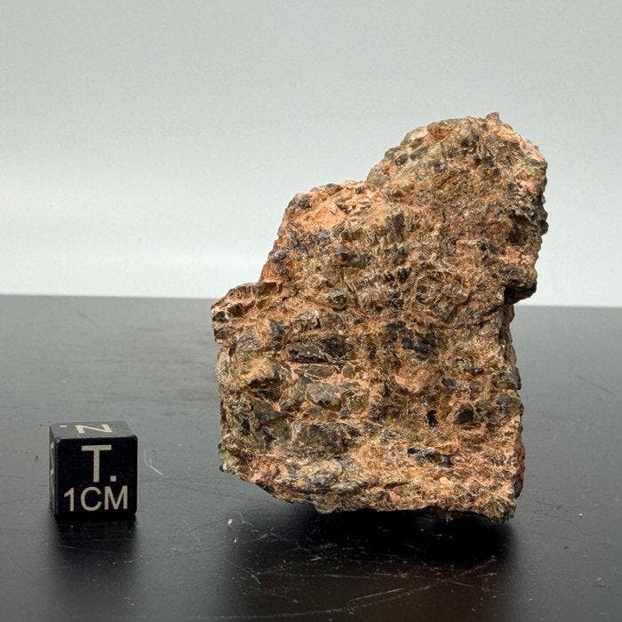 XXL Diogenita NWA 7831 Uitstekende kwaliteit meteoriet van, Verzamelen, Mineralen en Fossielen