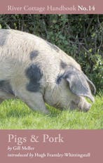 9781408817926 Pigs  Pork River Cottage Handbooks No14, Boeken, Kookboeken, Verzenden, Nieuw, Gill Meller