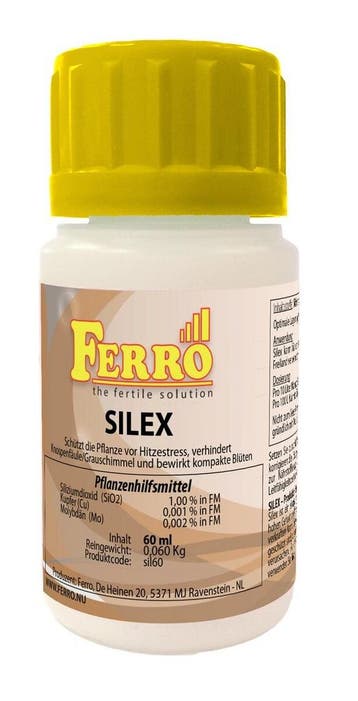 Ferro Silex 100 ml, Tuin en Terras, Ophalen of Verzenden, Nieuw