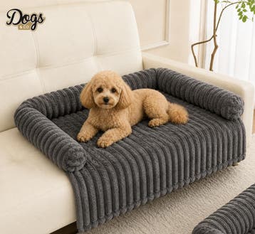 Corduroy Bankkdeken Antraciet Maat S – 70 × 65 cm| Luxe B, Ophalen of Verzenden, Nieuw, Overige
