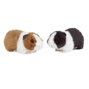 Set van 2 cavia knuffels - pluche - 20 cm - speelgoed, Verzenden, Nieuw
