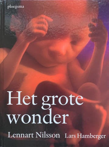 Het grote wonder - Lars Hamberger 9789021617862, Boeken, Verzenden, Zo goed als nieuw, Lars Hamberger