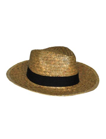 Cowboyhoed stro volwassenen, Ophalen of Verzenden, Nieuw