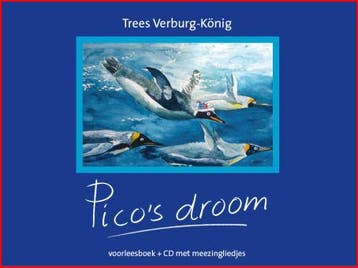 Picos droom 9789490624156 Trees Verburg-König, Boeken, Verzenden, Zo goed als nieuw, Trees Verburg-König