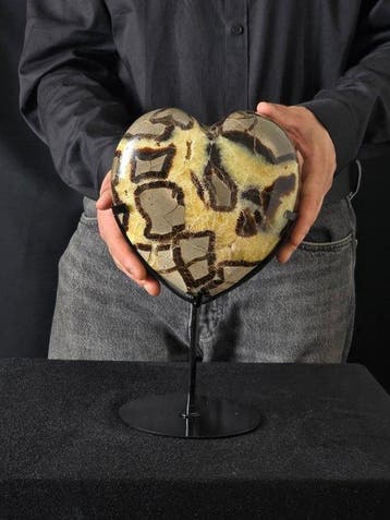 Hartvormige Septarian-steen - houder inbegrepen Hart -