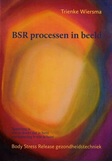 BSR processen in beeld - Trienke Wiersma 9789462031432, Boeken, Verzenden, Gelezen, Trienke Wiersma