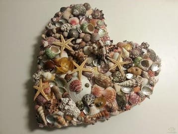 Schelpenmix Medium 1 kilo, Hobby en Vrije tijd, Ophalen of Verzenden, Nieuw