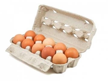 Specipack Eierdozen voor 10 eieren - 65 stuks, Ophalen of Verzenden