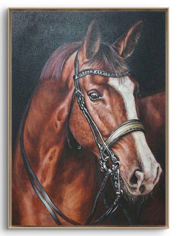 Reinier Nogueras (1985) - Serie ¨Nobleza¨
