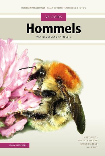 Veldgids Hommels | Martijn Kos; Vincent Kalkman; John Smit, Boeken, Ophalen of Verzenden, Nieuw, Martijn Kos; Vincent Kalkman; John Smit