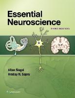 Essential Neuroscience 9781451189681, Verzenden, Zo goed als nieuw