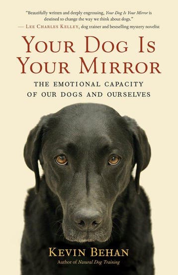 Your Dog is Your Mirror - Kevin Behan 9781608680887, Verzenden, Zo goed als nieuw, Kevin Behan