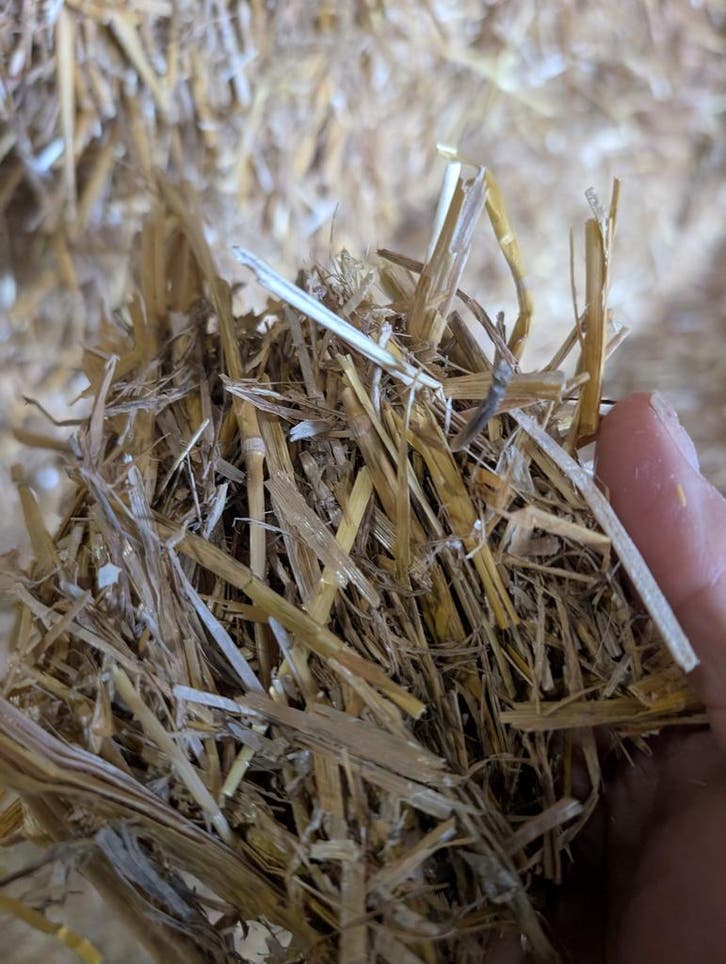 Gesneden tarwestro, Diensten en Vakmensen, Dieren | Paarden | Verzorging, Oppas en Les