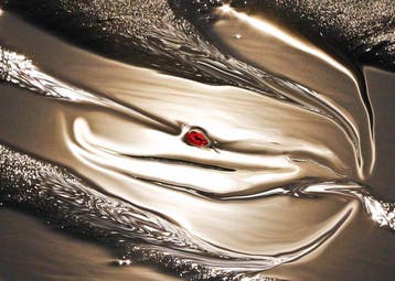 Bruno Paolo Benedetti - Sunlight Reflections - 1/30