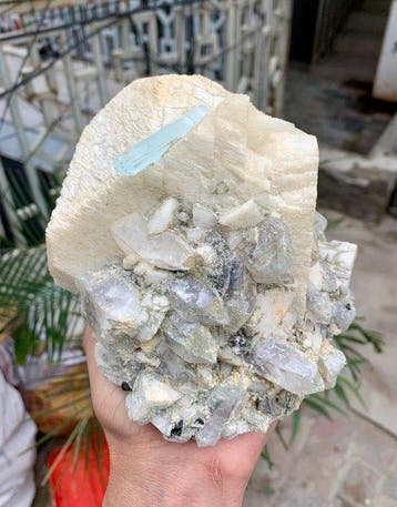 Kastgrootte Natuurlijke aquamarijnkristallen bundel met mica